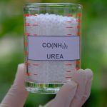 Ureia Técnica